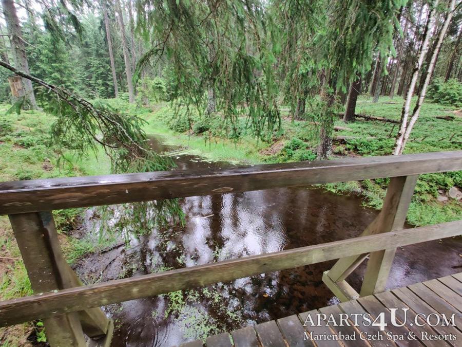 Apartment Grun Wald Mariánské Lázně Dış mekan fotoğraf