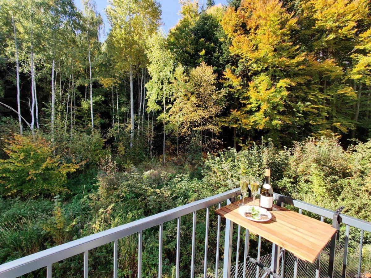 Apartment Grun Wald Mariánské Lázně Dış mekan fotoğraf