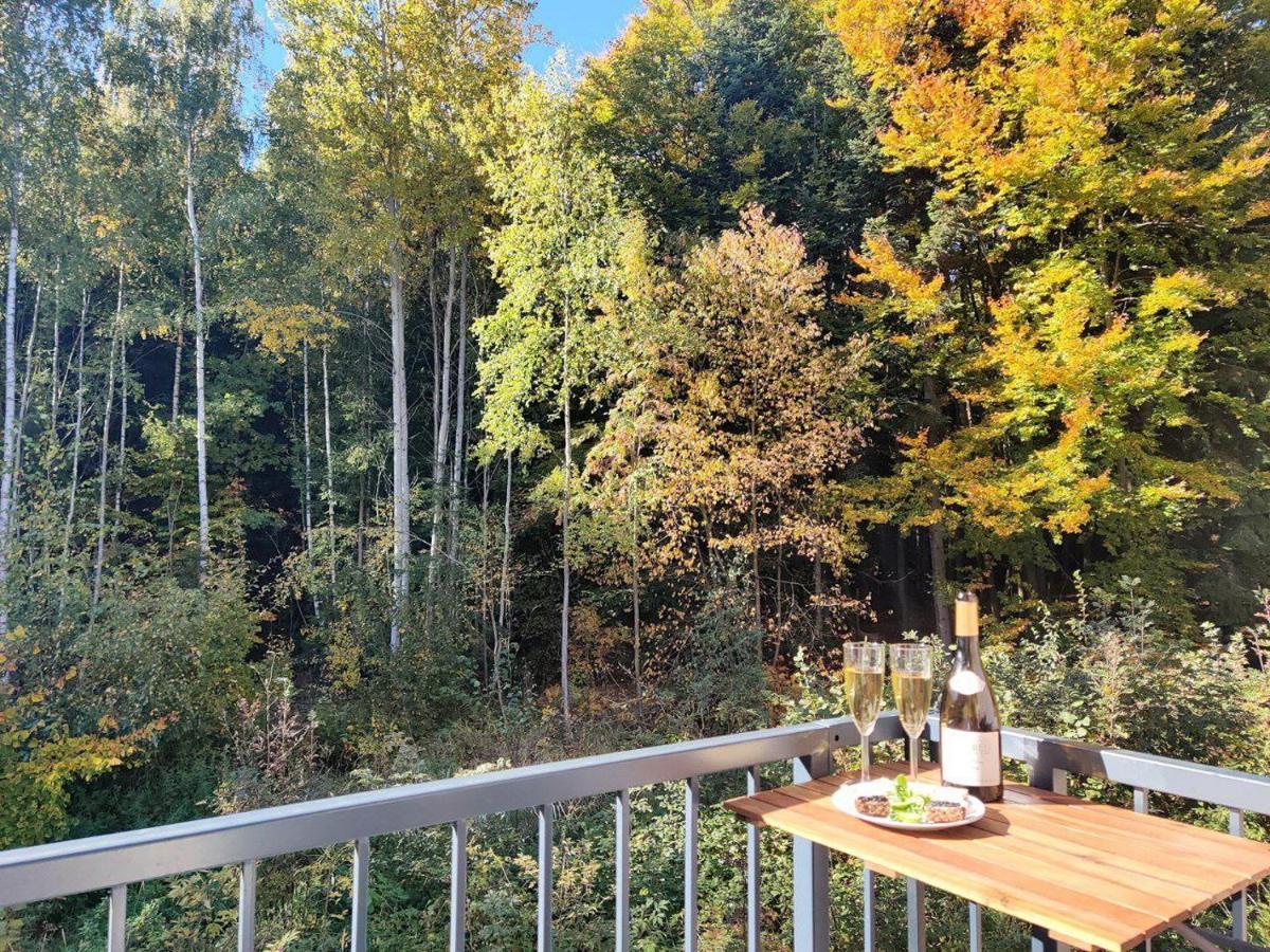 Apartment Grun Wald Mariánské Lázně Dış mekan fotoğraf